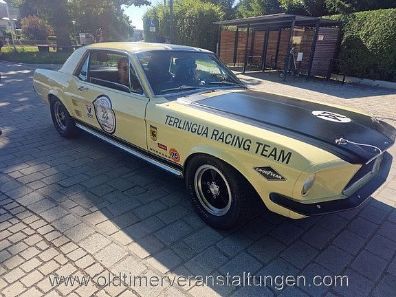 Bild 059.jpg  